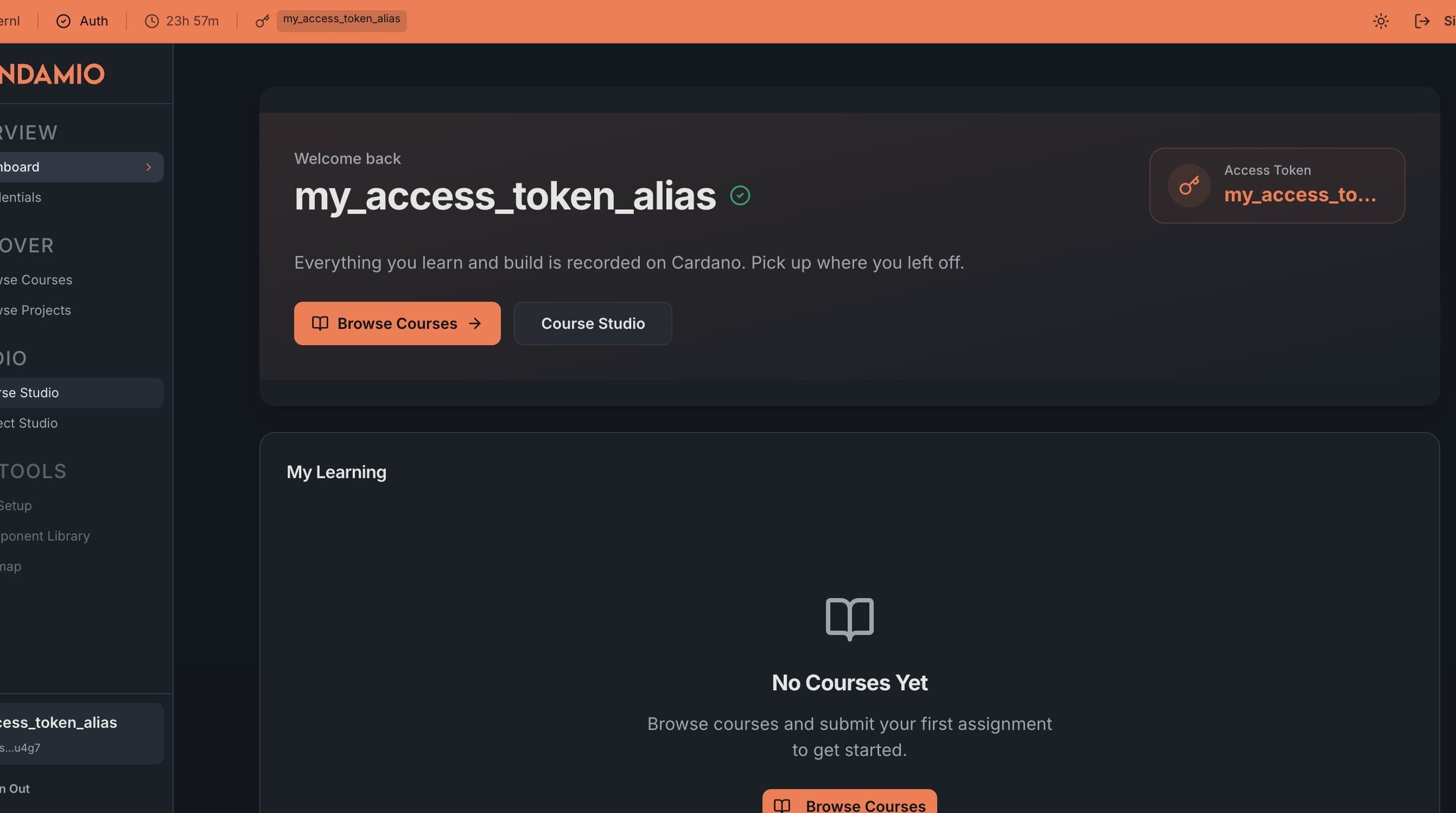Your Andamio Dashboard